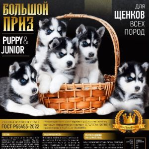 Корм для щенков Большой Приз Puppy&amp;Junior мясной премиум 10 кг