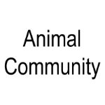 Animal Community — создание и продажа товаров для животных