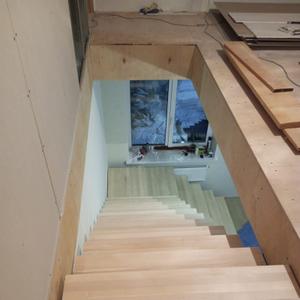 Ступени (береза)