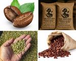 Green Coffee 000886