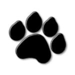 Blackcat — женские куртки
