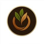 мебель из дерева оптом