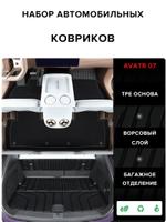 Набор автомобильных ковриков Avatr 007