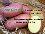 Агро-Опт-НН — картофель, яблоки оптом