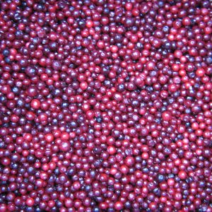 ЗАМОРОЖЕННАЯ БРУСНИКА