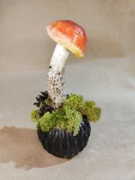 Кашпо с грибами и мхом Beauty forest