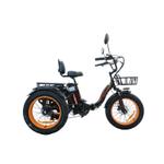Электровелосипед Kugoo Kugoo Trike 750W 48V 15.6Ah