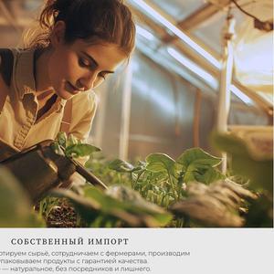 Импортируем товары напрямую с ферм