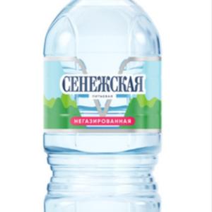 Вода Сенежская 0,33 л негаз.