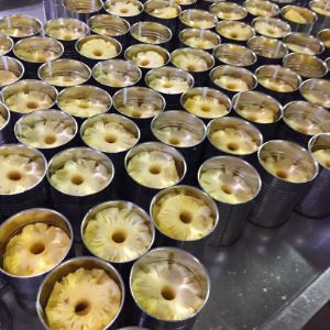 Pineapple 🍍
Frozen, Dried, Canned and Popsicle.

Ананас 🍍 
Замороженный, сушёный, консервированный и эскимо.