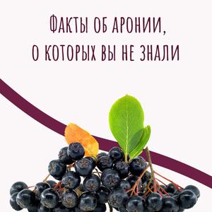 Арония — маленькая ягода с огромной силой!

После Чернобыля аронию использовали для защиты от радиации. Этот суперфрукт является одним из самых мощных природных «щитов» против тяжёлых металлов. Высокий уровень антиоксидантов и показатель ORAC помогают нейтрализовать свободные радикалы. Арония поддерживает естественный детокс организма, работу печени и обновление клеток. Регулярное употребление укрепляет иммунитет, повышает энергию и улучшает состояние кожи.

💜 Преимущества:

Защита от радиации

Сильный антиоксидант

Натуральный детокс

Поддержка иммунитета и энергии

#арония #суперфрут #антиоксиданты #детокс #иммунитет #здоровье #натуральныйпродукт #полезно #силаприроды #черноплоднаярябина