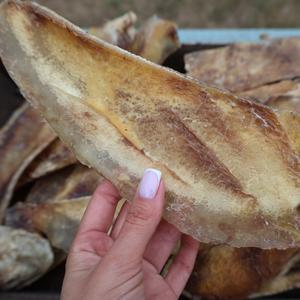 Хрящ лопаточный