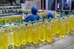 Масло подсолнечное рафинированное дезодорированное