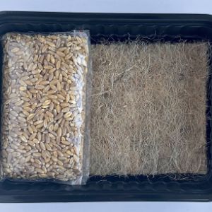 Состав набора: крупное зерно пшеницы (сертификат соответствия в наличии), натуральный джутовый коврик во весь размер контейнера