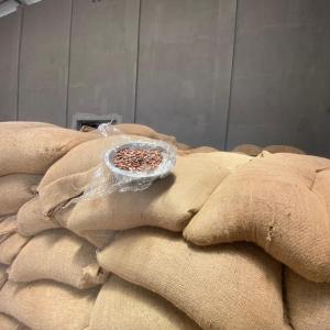 Какао бобы в мешках на складе в Конакри