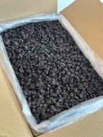 Вишня без косточки