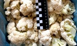 Замороженные продукты