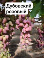 Виноград оптом.