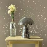 Диско-гриб Discodom