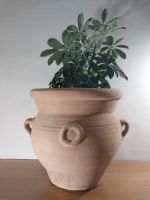 Кашпо для растений и цветов из глины эпохи Карфагена, Рима и Византии Реф181-40
