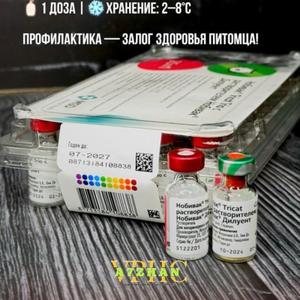 Нобивак Трикат Трио