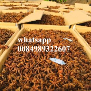 Vietnam Cassia/ Cinnamon

Phone (Viber, Whatsapp, Wechat), Imo) :

1. Split cassia/ cinnamon
2. Broken cassia/ cinnamon
3. Stick cassia/ cinnamon
4. Cassia/ cinnamon powder
5. Cassia/ cinnamon leaves
6. Cassia/ cinnamon round cut
7. Cigar cassia/ cinnamon
#SplitCassia
#BrokenCassia
#StickCassia #Cassiapowder #CINNAMON
#Spice
#Blackpepper #vietnampepper #whitepepper #pepperprice #spices #vietnamexport #cinnamonsticks  #cigarcassia #india #indianspices #Bangladesh#saudiarabia #turkey #Haiti #uaebusiness #UAE #kuwait #quatar #mexico #cinnamon