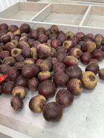 Свекла оптом