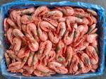оптовые продажи красной рыбы, морепродукты, креветка
