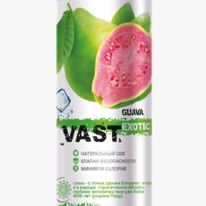 Напиток безалкогольный газированный низкокалорийный с содержанием сока VAST EXOTIC GUAVA со вкусом гуава 0,33 л.
Содержание  сока в готовом напитке не менее 8 %!