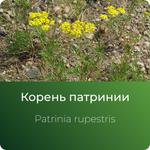 Патринии экстракт сухой https://www.altai-extracts.ru/koren-patrinii