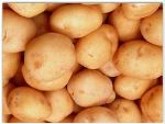 Совхоз Красноярский — картофель оптом от производителя