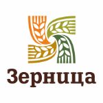 Зерница — зерновые культуры с полей Алтайского края