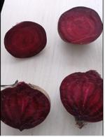 Свекла столовая "Камаро"