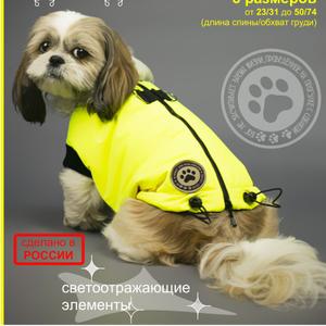 Жилет утепленный, 2 вида моделей по половой принадлежности