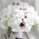 Чистый хлопок (Clean cotton)