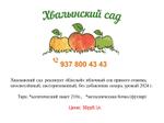 Яблочный Сок "Кислый" Хвалынский сад