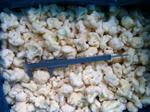 Frozen cauliflower