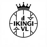 оптовые продажи электротранспорта ikingi