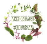 выращивание и продажа микрозелени