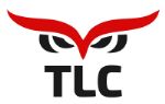 Транспортная компания TLC Group — комплекс услуг по работе с Китаем