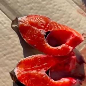 Форель свежемороженная Северная Осетия, Дагестан