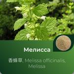 Мелиссы экстракт сухой https://altai-extracts.ru/melissa