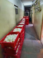 очищенные овощи