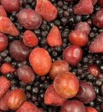 Компотная смесь со сливой