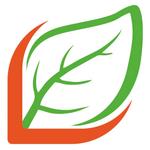 производство товаров для пикника и хозяйственных товаров