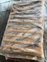 Свежемороженая пелядь речная 250-300 гр.