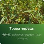 Череды экстракт сухой https://www.altai-extracts.ru/extract-cheredy
