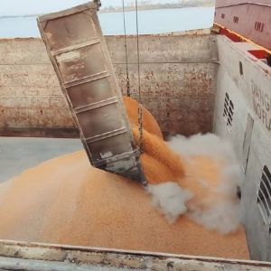 Прямая перевалка зерна посредством самосвалов (экспорт)