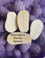 Картофель Гала опт