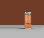 Натуральный лимонад Bakunin Drinks Иван чай и Мята 330 мл 1334962214